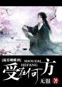 (流星蝴蝶剑同人)受在何方