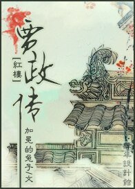 (红楼梦同人)贾政传