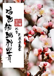 鸡飞狗跳那些年(第一部)