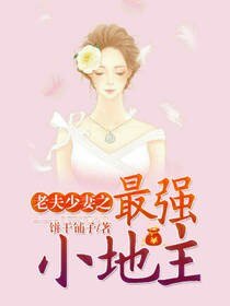 老夫少妻之最強小地主