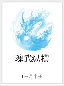 魂武纵横