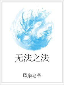 无法之法