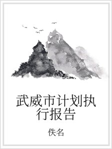 武威市计划执行报告