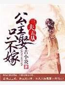 三夫五从:公主只娶不嫁