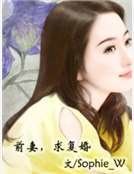 前妻,求复婚
