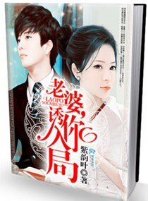 老婆,釉你入局