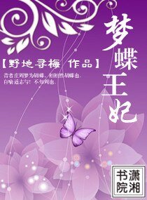 梦蝶王妃