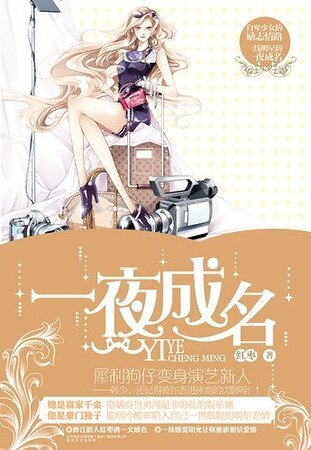 一夜成名(出书版)