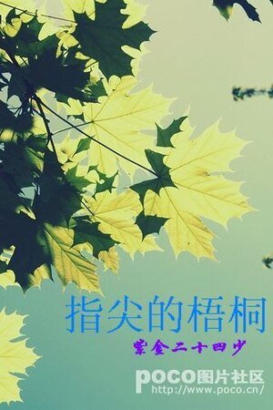 指尖的梧桐