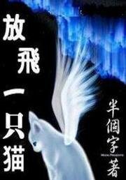 放飞一只猫