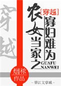 农女当家之寡妇难为