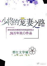 少将的宠妻之路(gl)