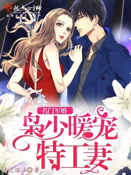 名门军婚,枭少暖宠特工妻