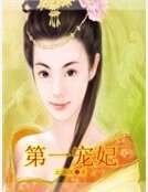 第一宠妃