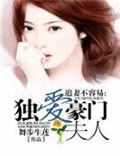 追妻不容易:独爱豪门夫人