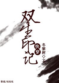 我和你的N世情缘/双生印记(快穿)