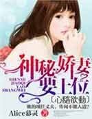再嫁,慕少的神秘娇妻