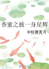 (香蜜同人)香蜜之披一身星辉