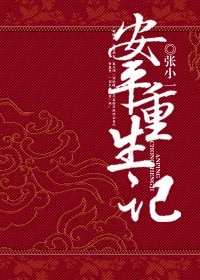 安平重生记