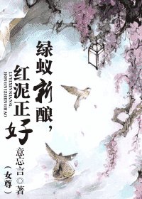 绿蚁新酿,红泥正好(女尊)