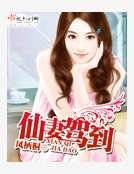 仙妻驾到