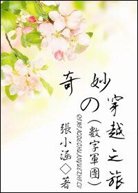 (数字军团/综影视同人)奇妙的穿越之旅