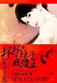 候补王妃:坏坏娘子戏傻王