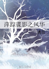 萍蹤諜影之風華