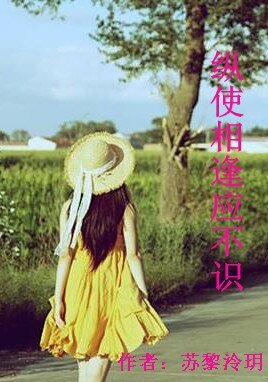 纵使相逢应不识