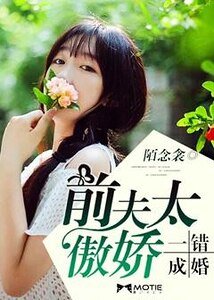 一错成婚:前夫太傲娇