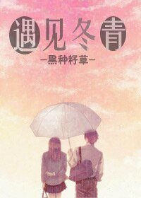 遇见冬青
