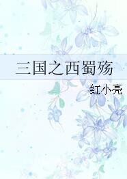 三国之西蜀殇