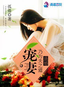 盛婚:宠妻乃为夫之道