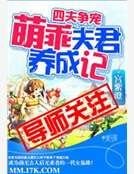 四夫争宠:萌乖夫君养成记