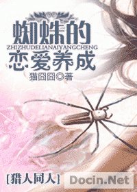 (猎人同人)蜘蛛的恋爱养成