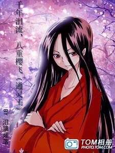 (通灵王同人)千年泪流,八重樱飞