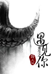 重生之遇见你