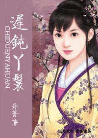 迟钝丫鬟(麻烦丫鬟系列)