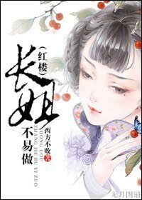 (红楼同人)长姐不易做