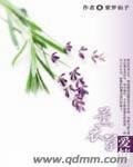 薰衣草爱情