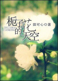 栀子花的天空