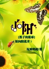 (BG/黑子的篮球同人)向阳(原向阳花开)