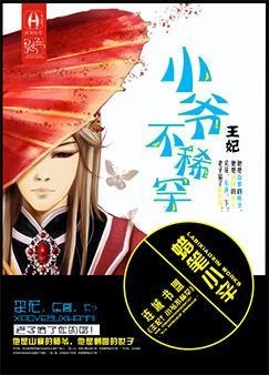 王妃?小爷不稀罕