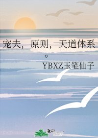 宠夫,原则,天道体系