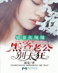 娇妻火辣辣:黑客老公别太狂!