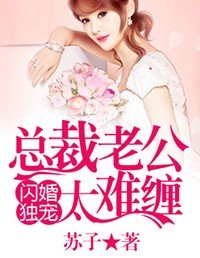 闪婚独宠:总裁老公太难缠