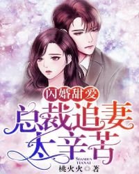 闪婚甜爱:总裁追妻太辛苦