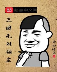 三国无双领主