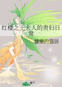 (BG/红楼同人)红楼之王夫人的贵妇日常