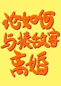 (综漫同人)论如何与揍敌客离婚